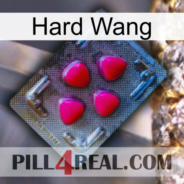 Hard Wang 13.jpg